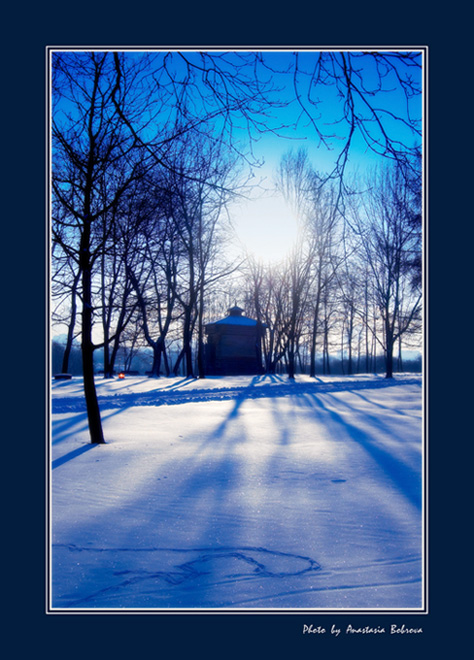  Trees in blue