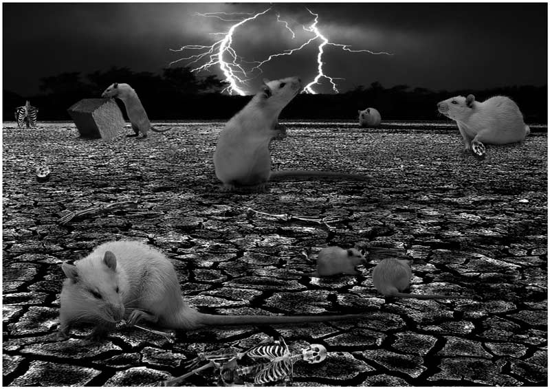   3004.  . , !!!
