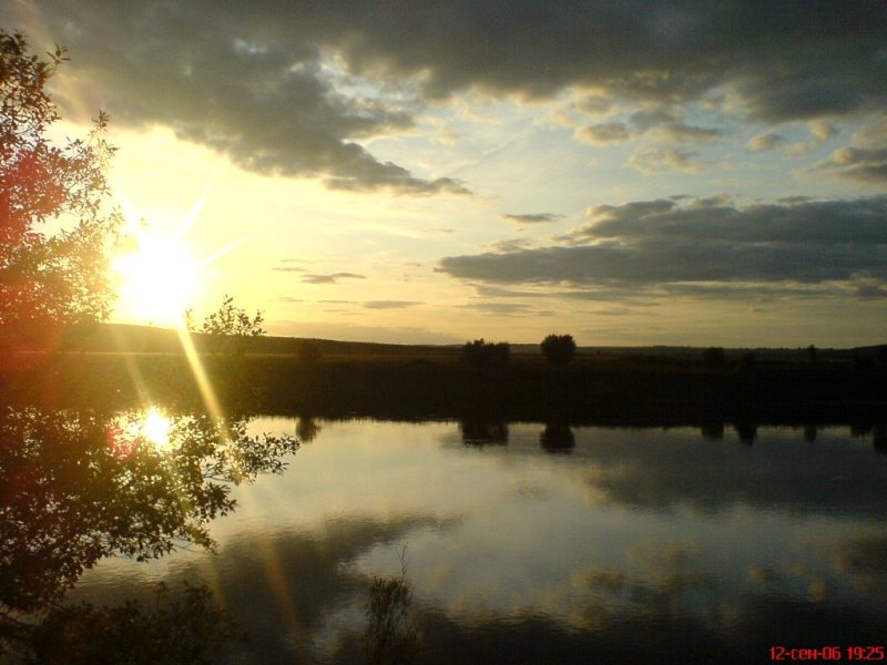   2006