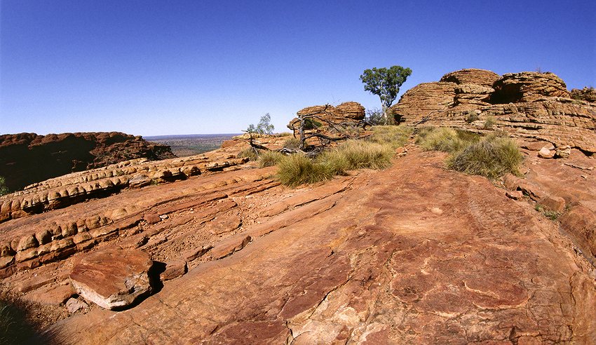  Kings Canyon 