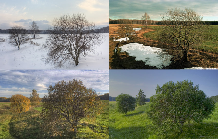  4 seasons