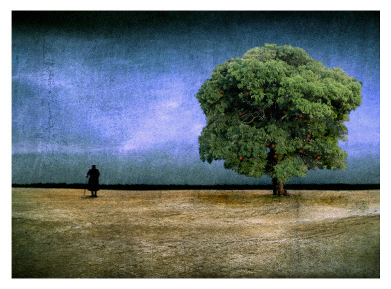  somewhere