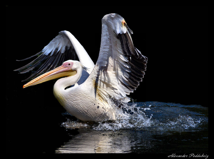  take OFF *