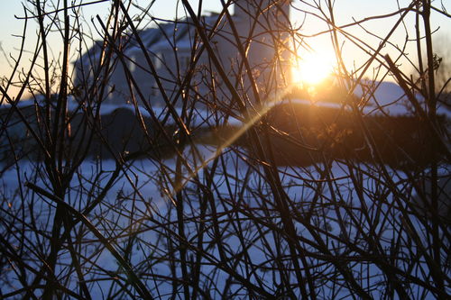  sunshining