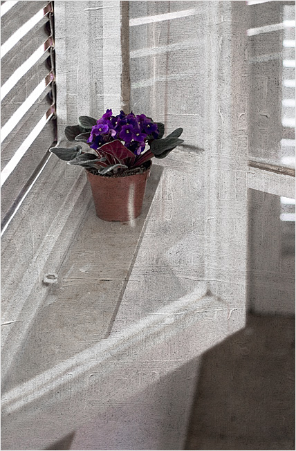  Still Life #4