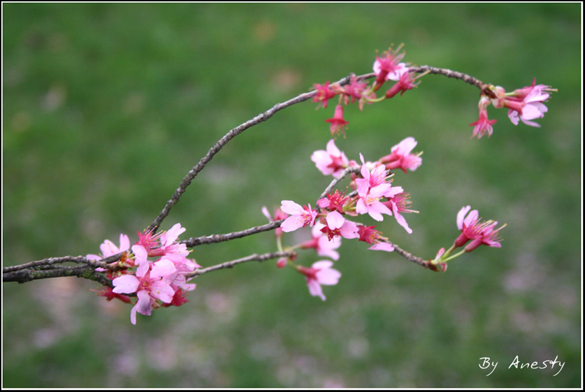  And it feels like spring...