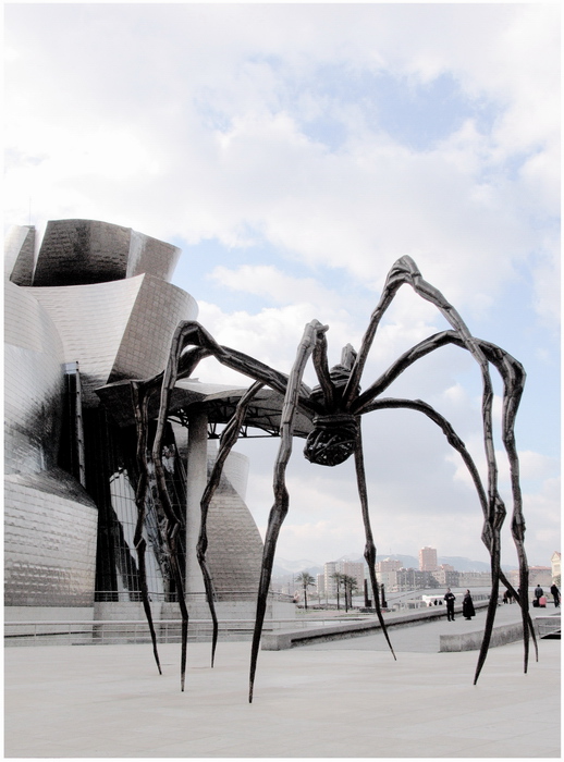  Spider