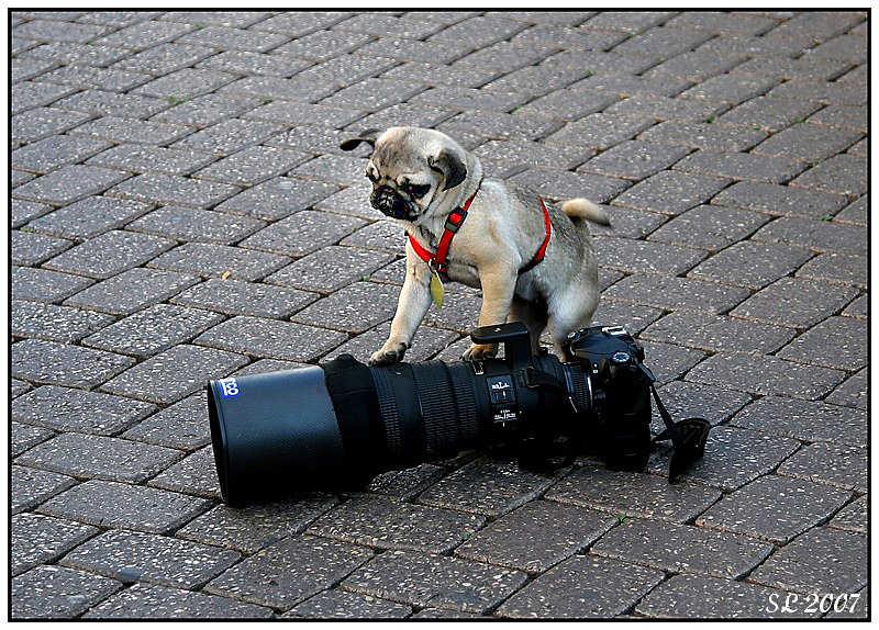  Nikon 300 ef 2.8