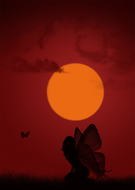 Moth