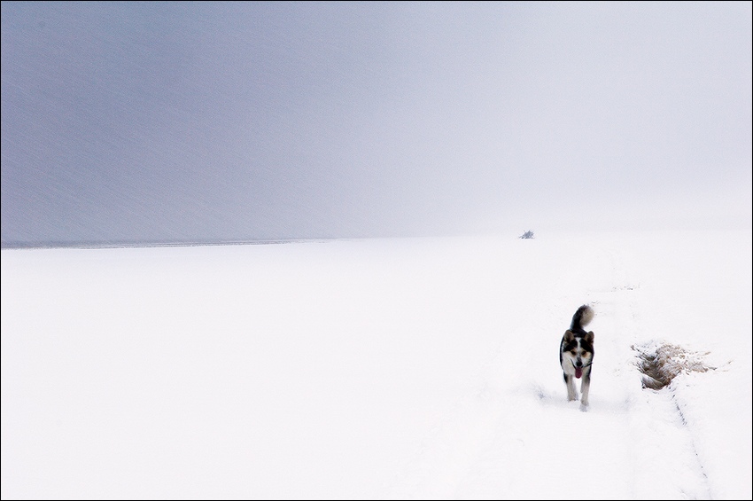  LOst.