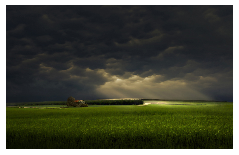  The Green Green Grass