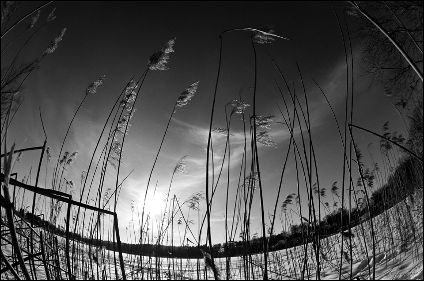  Mild winter