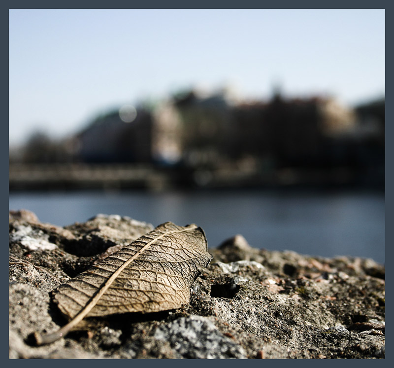     bokeh  Canon
