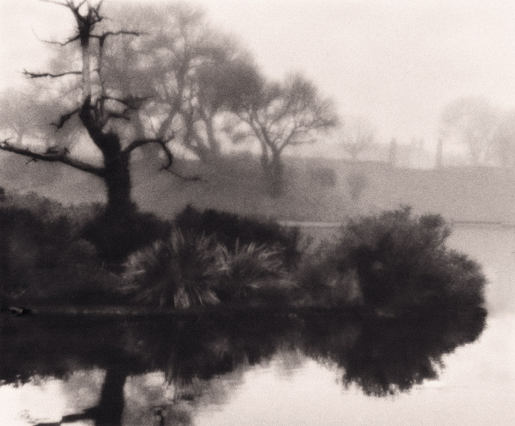  misty morning