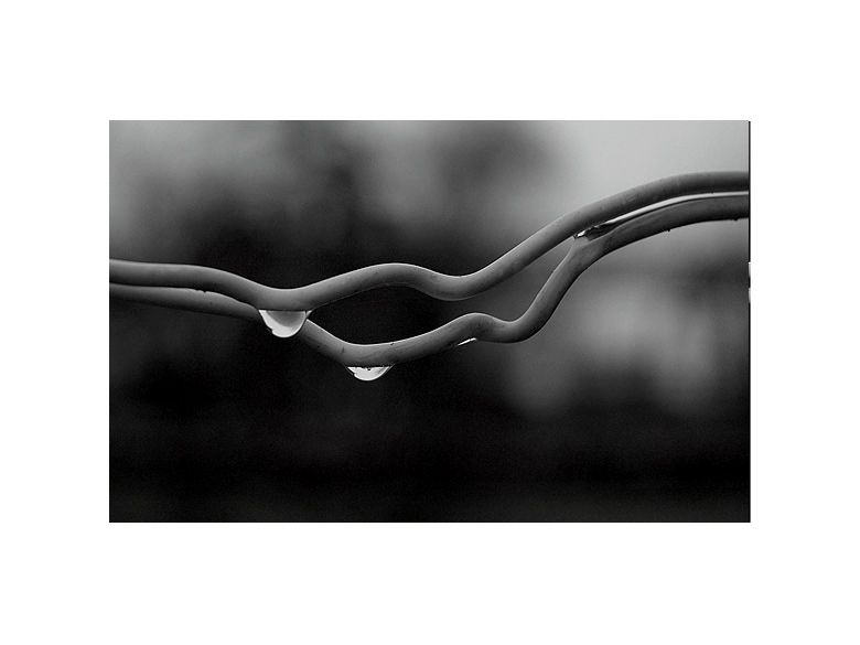  forms