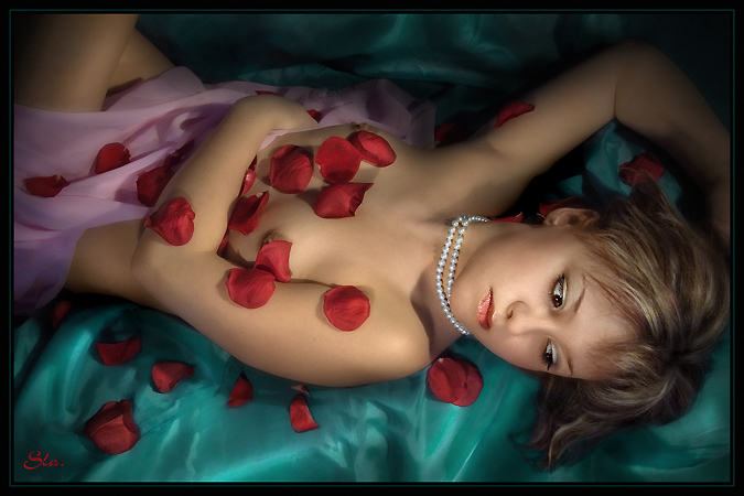  Rose