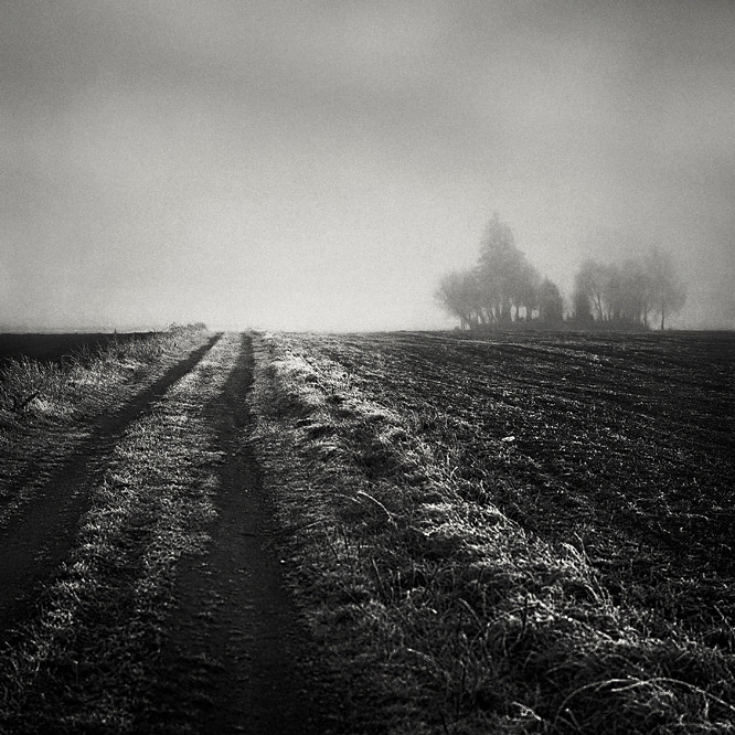  a road, a mist & cemetery