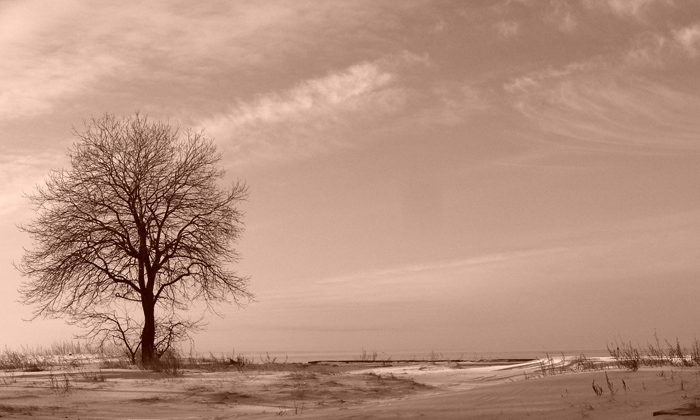  On a coast of Baltic sea