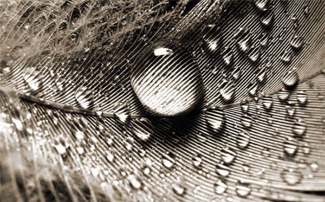  Fragment of Tenderness