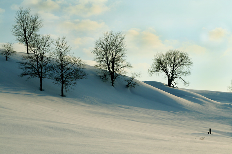  snowy landscape