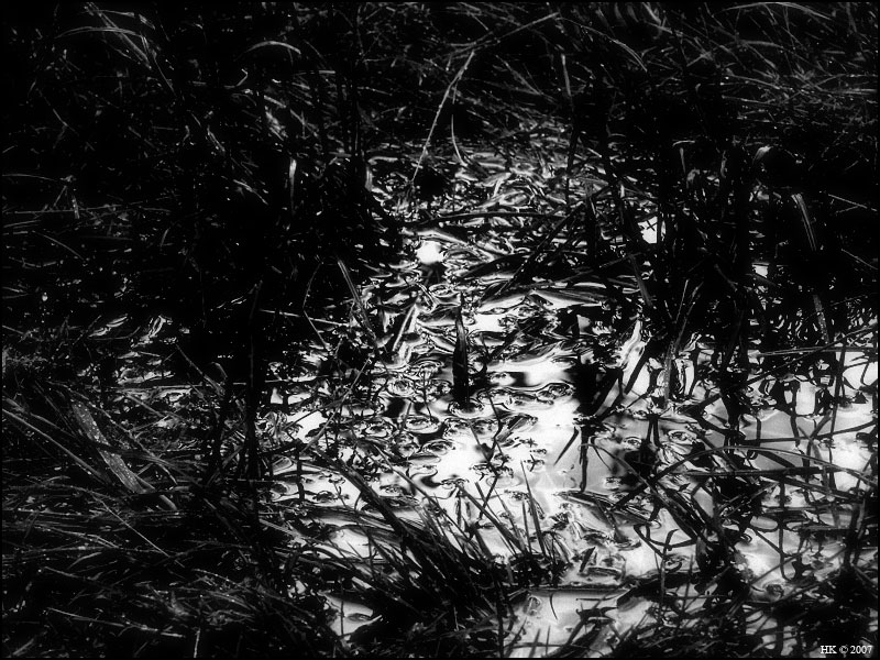  Spilled silver