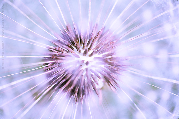    / Fulcrum