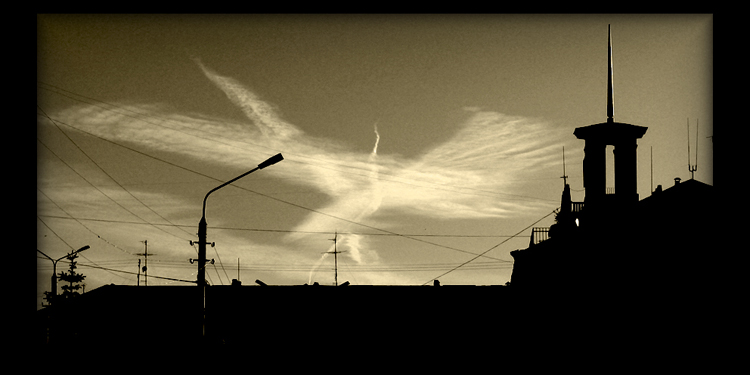 like a bird