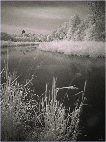  IR #3