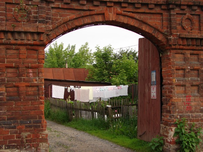     (1)