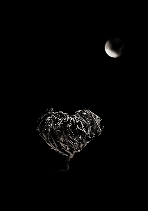  heart of night