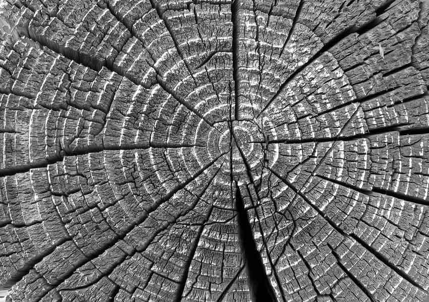  surface#11
