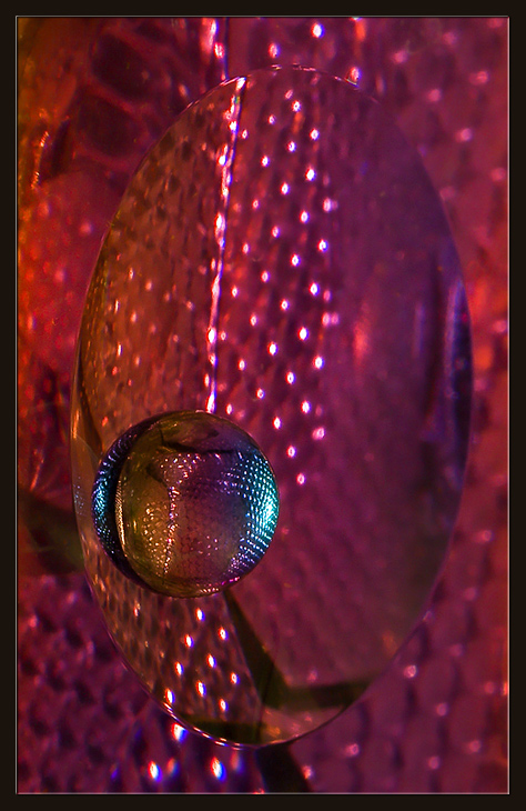  Transparency (1)