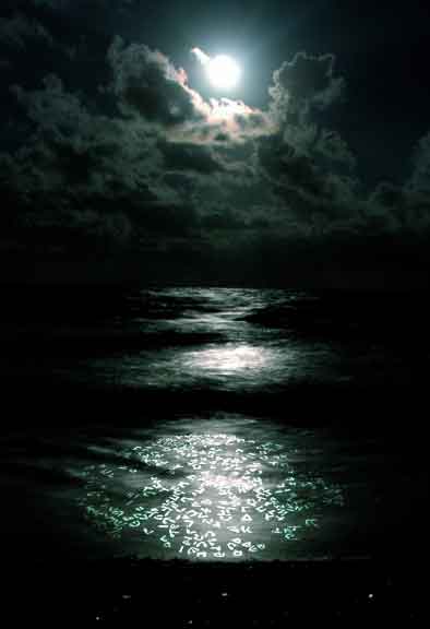  Celestial Light, 2006
