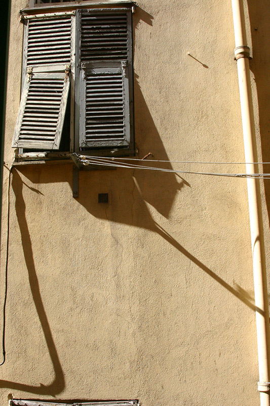  tribute to S. Dali