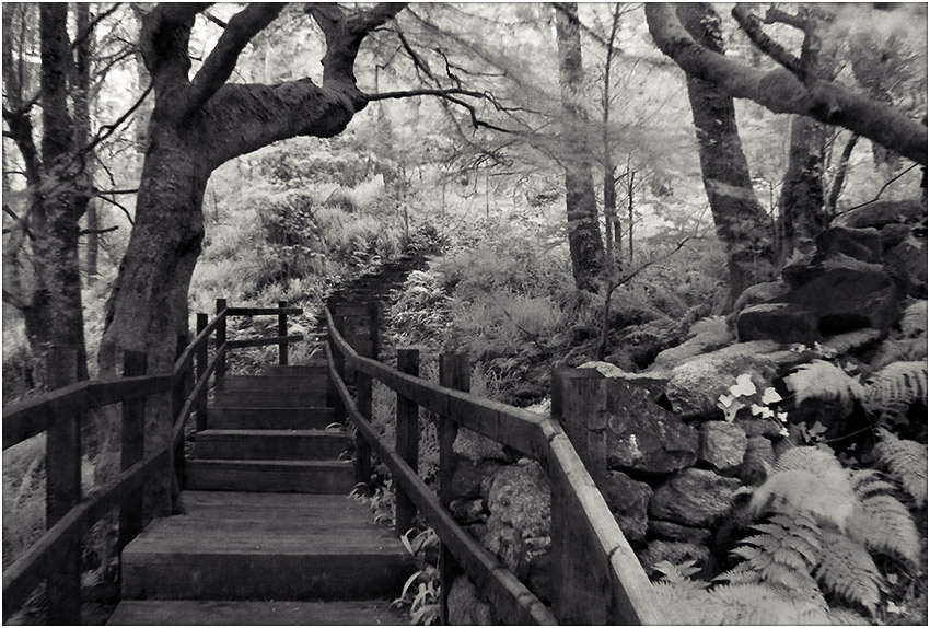  Connemara National Park