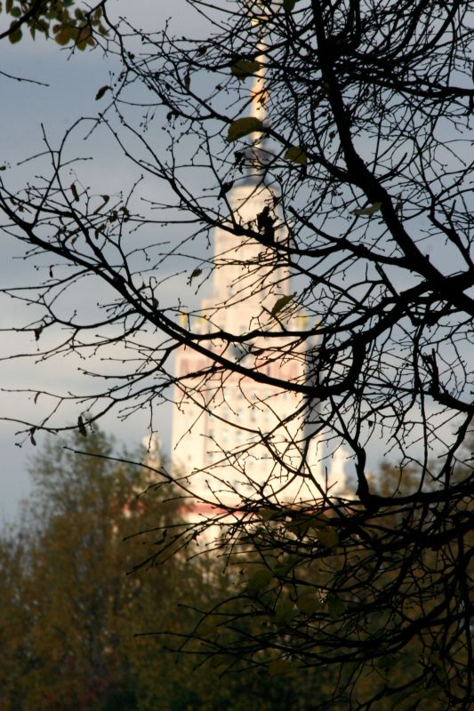 ���������� ���������� �����