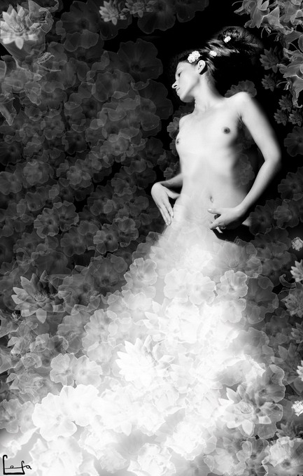 The flower fairy 