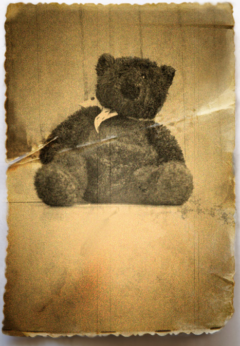  Teddy