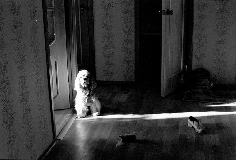  My Dear Friend