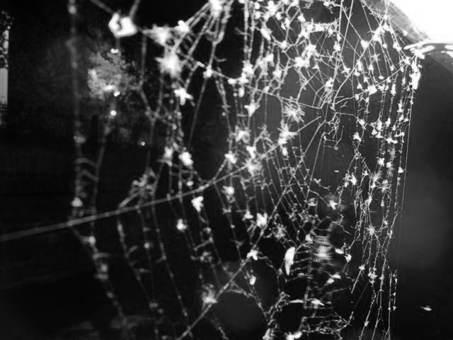  web