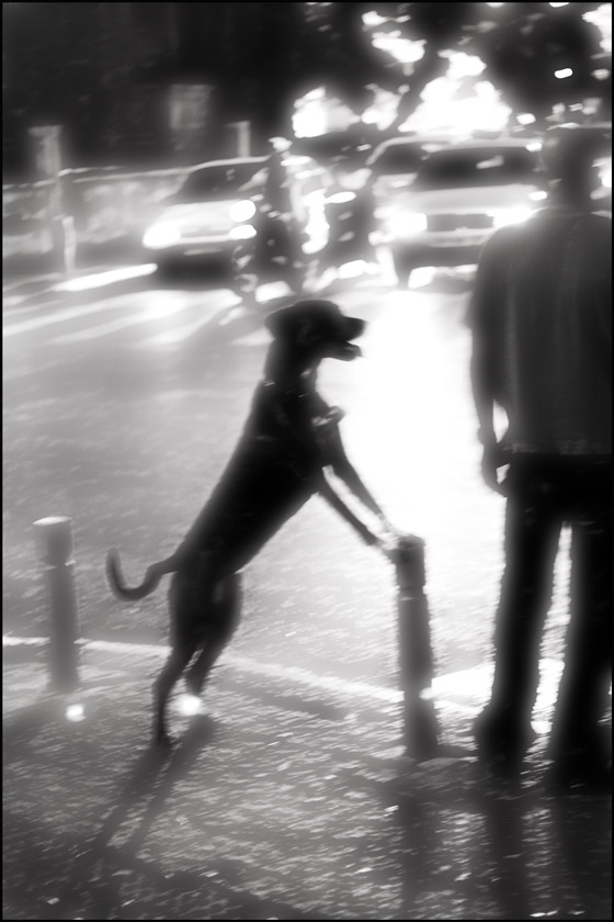  Tel-Aviv