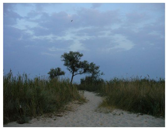  ...welcome to the paradise(3)...