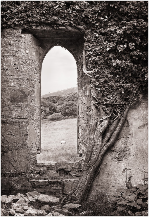  Clifden Castle