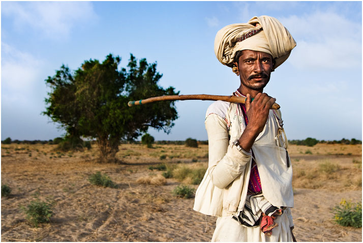  Desert Dweller -  