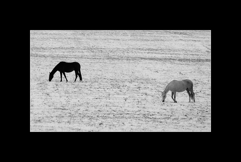  Black and white