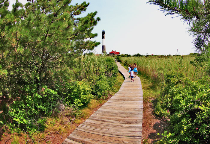  The Road To The Lighthouse-2