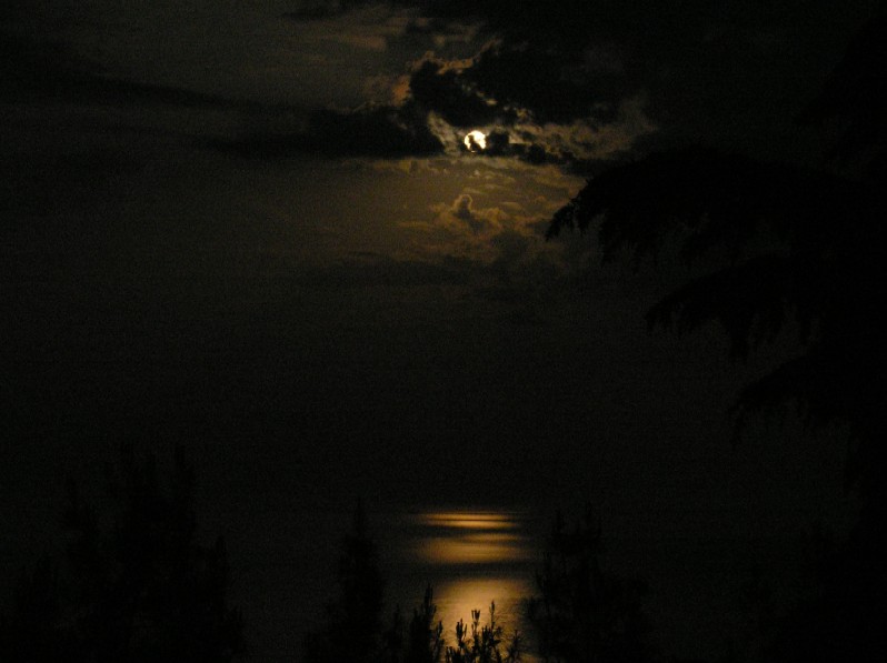  the moon