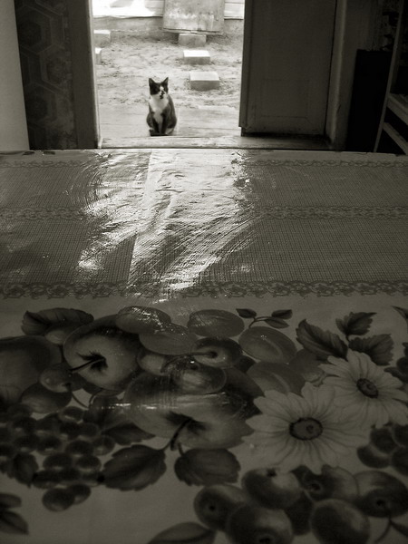   -.