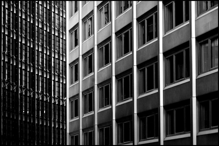  jungle of concrete