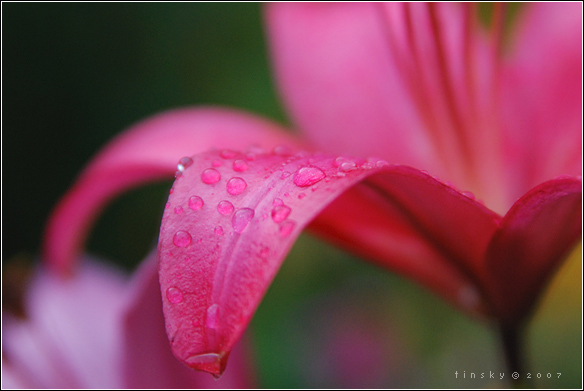  desire